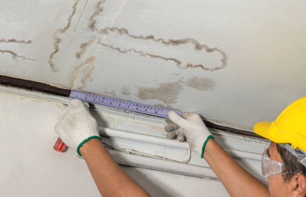 Reliable Mold Remediation contractor in Lempster, NH by Water Damage Irwin